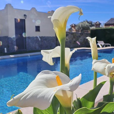 Chalet Bella Mendoza Conil De La Frontera Zewnętrze zdjęcie